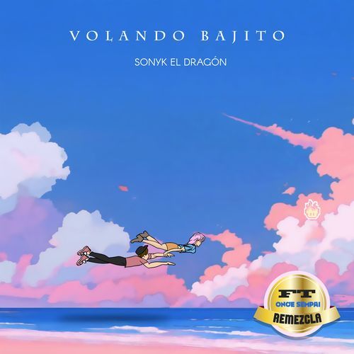 Volando Bajito (Afro House) (Remix)_poster_image