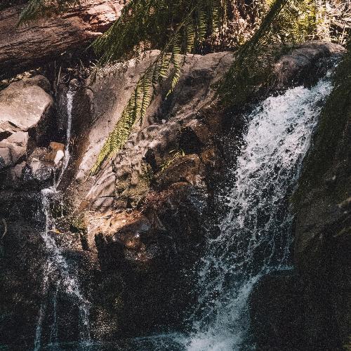 river reverie