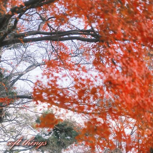 soft things cover art