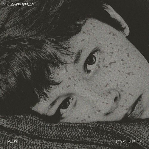 voice (My Sweden Laundry #3) cover art