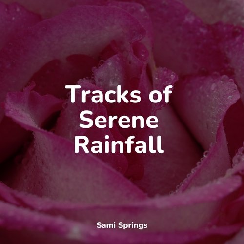 Rain, Storm and Thunder cover art