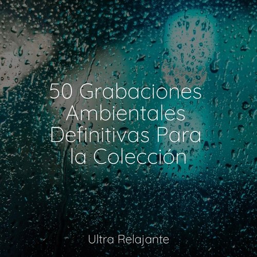 50 Grabaciones Ambientales Definitivas Para la Colección