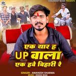 Ak Yaar Ha UP Wala Ak Have Bihari Re