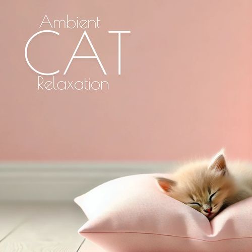 Ambient Cat Relaxation: Midnight Sleeping, Cat Music, Meditation Wellness for Cats_poster_image