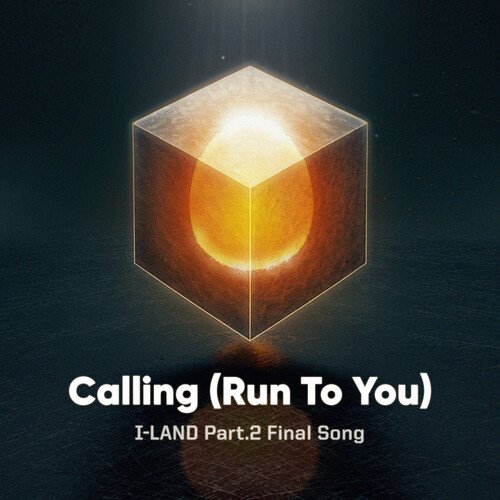 Calling (Run To You)_poster_image