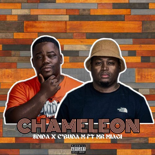 Chameleon_poster_image