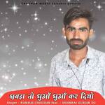 Chhabra to dhuaa dhuaa kar diyo artwork