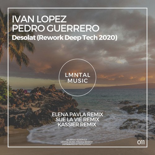 Desolat (Kassier Remix) cover art