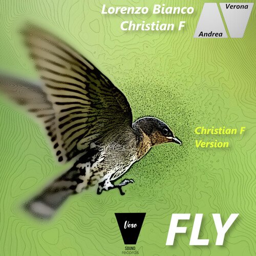 Fly