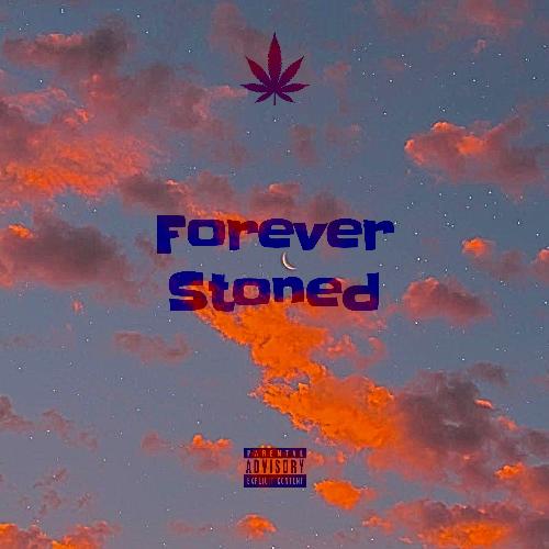 Bluu Skies cover art