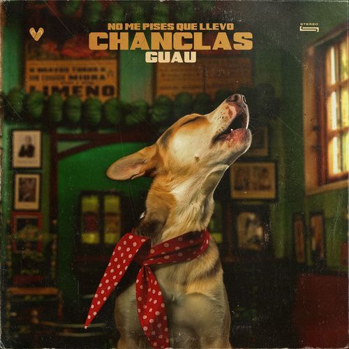 Me gusta el flamenco, pero no lo sé cantar cover art