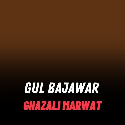 Gul Bajawar
