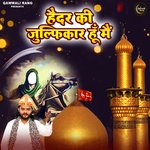 Haider Ki Zulfiqar Hun Mein