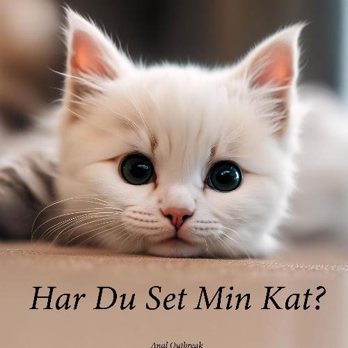 Har Du Set Min Kat?