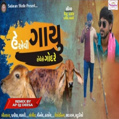 He Aevi Gayu Rove Se Gondare Dj Remix