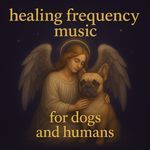 Calm Frequency Flow artwork