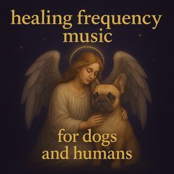 Calm Frequency Flow by Angelic Healing Music
