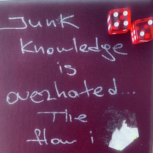 Junk Knowledge Is Overrated (technical Shot Edit) cover art