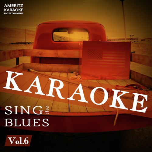 Karaoke - Sing the Blues, Vol. 6