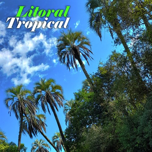 Litoral Tropical