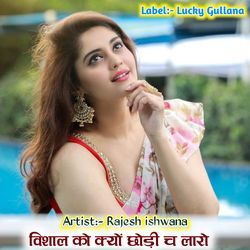 विशाल को क्यों छोड़ी च लारो