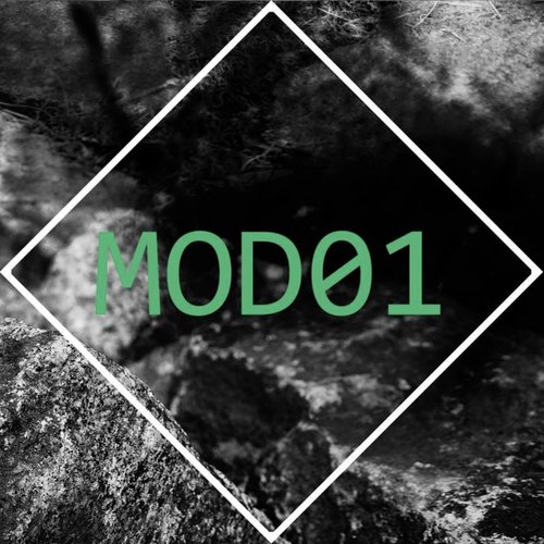 Modulator (Christian Gerlach Version) cover art