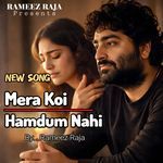 Mera Koi Hamdum Nahi (Sad Song)