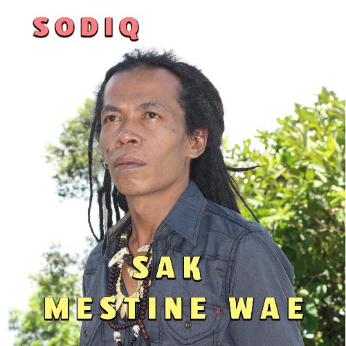 Sak Mestine Wae