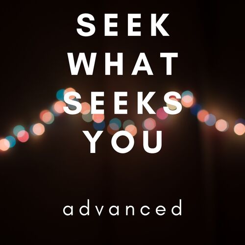 Seek What Seeks You_poster_image