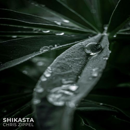 Shikasta_poster_image