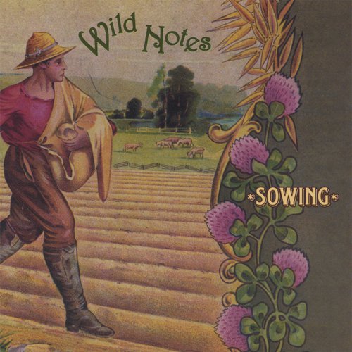 Chilly Winds / Live Country / Cajun Fiddlin on the Bayou cover art