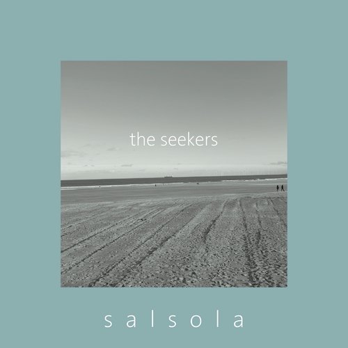 The Seekers cover art