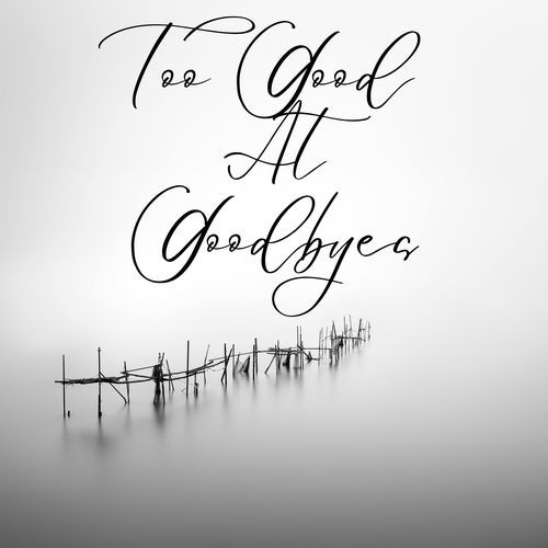 Too Good At Goodbyes