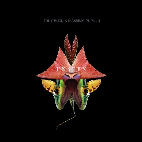 Entrainment cover art