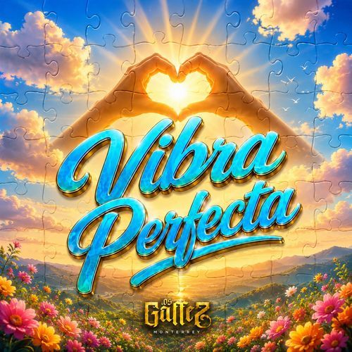 Vibra Perfecta