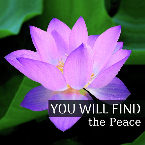 Meditation Academy cover art