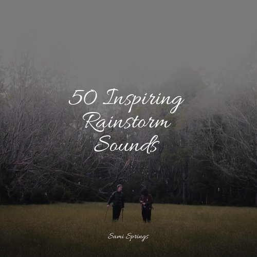 Ocean Waves and Seagulls