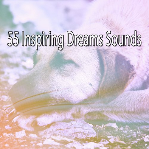 55 Inspiring Dreams Sounds