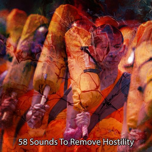 58 Sounds To Remove Hostility_poster_image