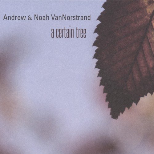 Certain Tree cover art