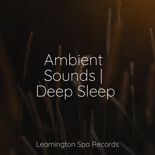 Ambient Sounds | Deep Sleep