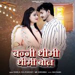 Banni Dhimi Dhimi Bol artwork