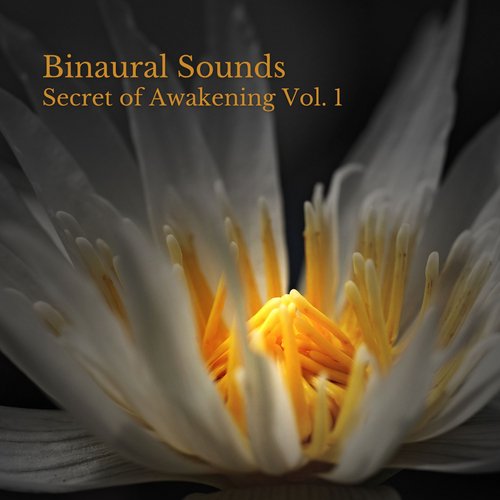 Brain Waves Binaural Beats