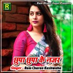 Bhul Ke Humko Parai Ho Gayi