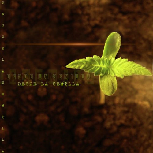 Desde la Semilla