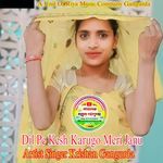 Dil Pe Kesh Karugo Meri Janu