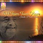 Dil Tum Tum Kare