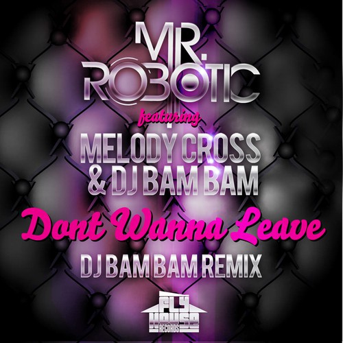 Dont Wanna Leave (DJ Bam Bam Radio Remix) (feat. Melody Cross & DJ Bam Bam)