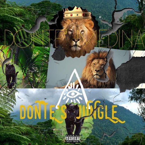 Donte's Jungle cover art