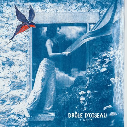 Drôle D'oiseau